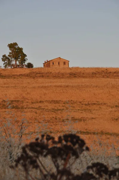 Ruínas Aqueduto Romano Monte Romano Itália Pôr Sol — Fotografia de Stock