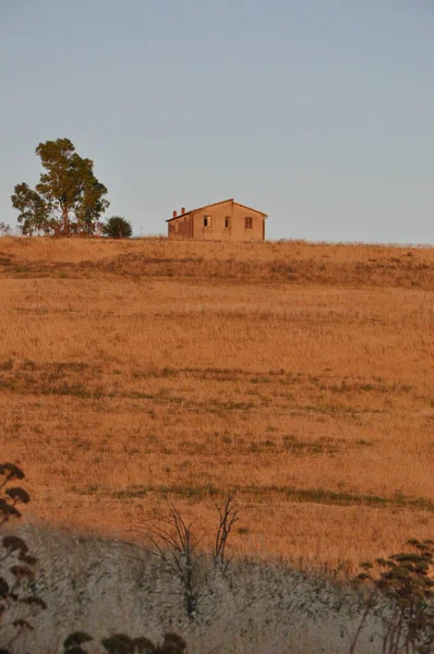 Ruinas Del Acueducto Romano Monte Romano Italia Atardecer —  Fotos de Stock