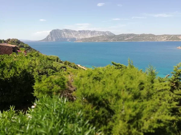 Italia Sardinia Ladscape Capo Coda Cavallo Bay Verano 2020 — Foto de Stock