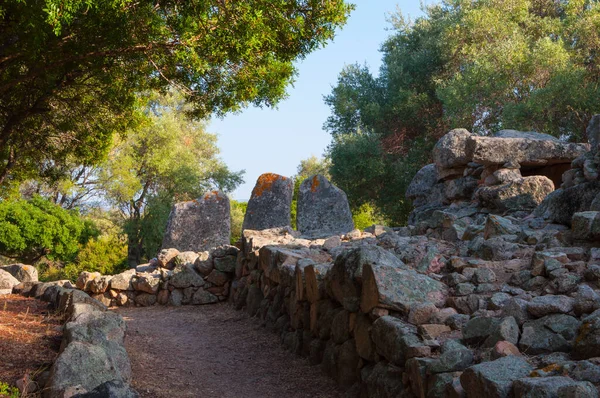 Srpna 2020 Olbia Itálie Hrobka Obrů Monte Abe — Stock fotografie