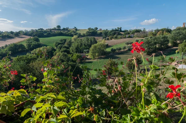 Middeleeuws Dorp Loretello Maakt Deel Uit Van Gemeente Arcevia Provincie — Stockfoto