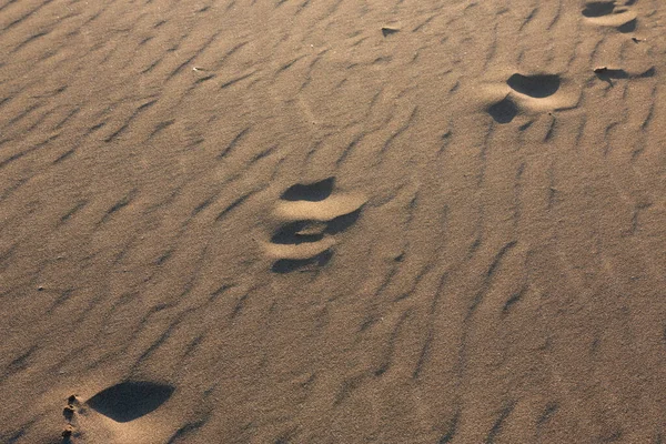 Voetafdrukken Van Een Persoon Het Zachte Zand Van Het Strand — Stockfoto