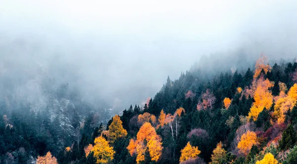 Jesienny Krajobraz Mgłą Pięknymi Żółtymi Czerwonymi Pomarańczowymi Drzewami — Zdjęcie stockowe