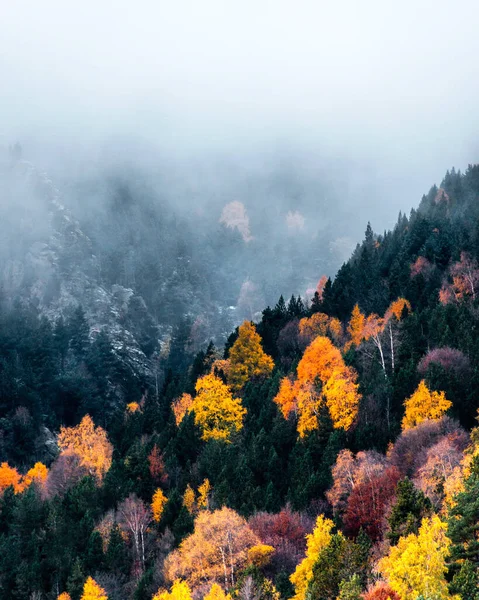 Paesaggio Autunnale Con Nebbia Bellissimi Alberi Gialli Rossi Arancioni — Foto Stock