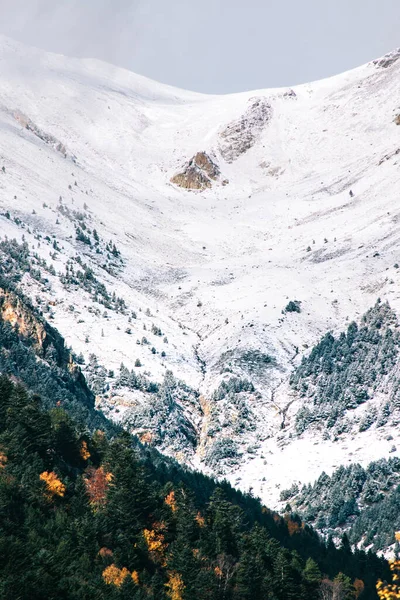 Montaña Con Nieves Abetos Anaranjados Amarillos Otoño — Foto de Stock