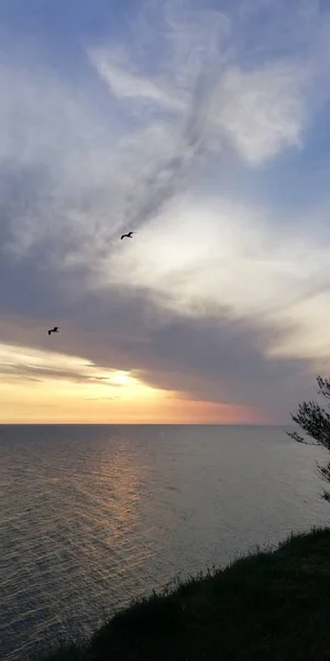 Silhouette of birds on the background of the evening sea sunset landscape. Unusually shaped clouds, backlit by the setting sun, painted in red, pink, blue tones. Summer sea background.