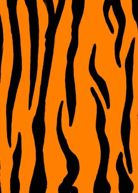 Hayvan dokusu. Kaplan çizgileri.