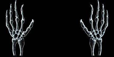 İki boyalı iskelet el. Siyah arka plan üzerinde beyaz anahat. Cadılar Bayramı tasarımı. İlaç.