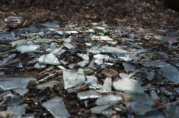 Vidrio roto en el suelo. Basura, contaminación ambiental. Pa —  Fotos de Stock