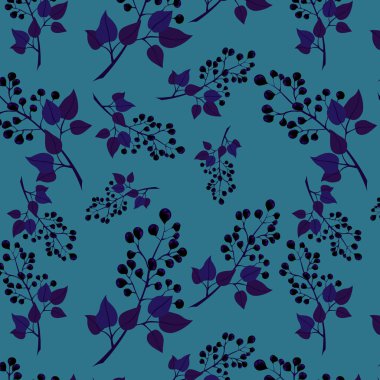 Böğürtlen örneği. Mavi arka planda siyah frenk üzümü dalları.