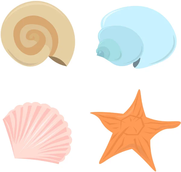 Conjunto de conchas marinas y estrellas de mar. Elementos de verano, diseño de playa — Vector de stock