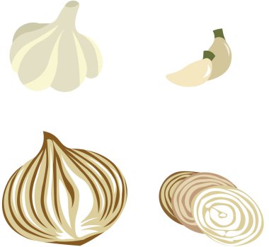 Renkli soğan, sarımsak parlak illüstrasyon. Dergi, kitap, poster, kart, menü kapağı, web sayfaları için kullanılır.
