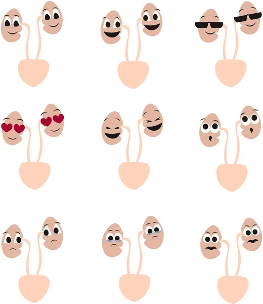 Organs of the human body in the style of cartoon. Kidney, health — Stock Illustration Organs of the human body in the style of cartoon. Kidney, health Stock Vector