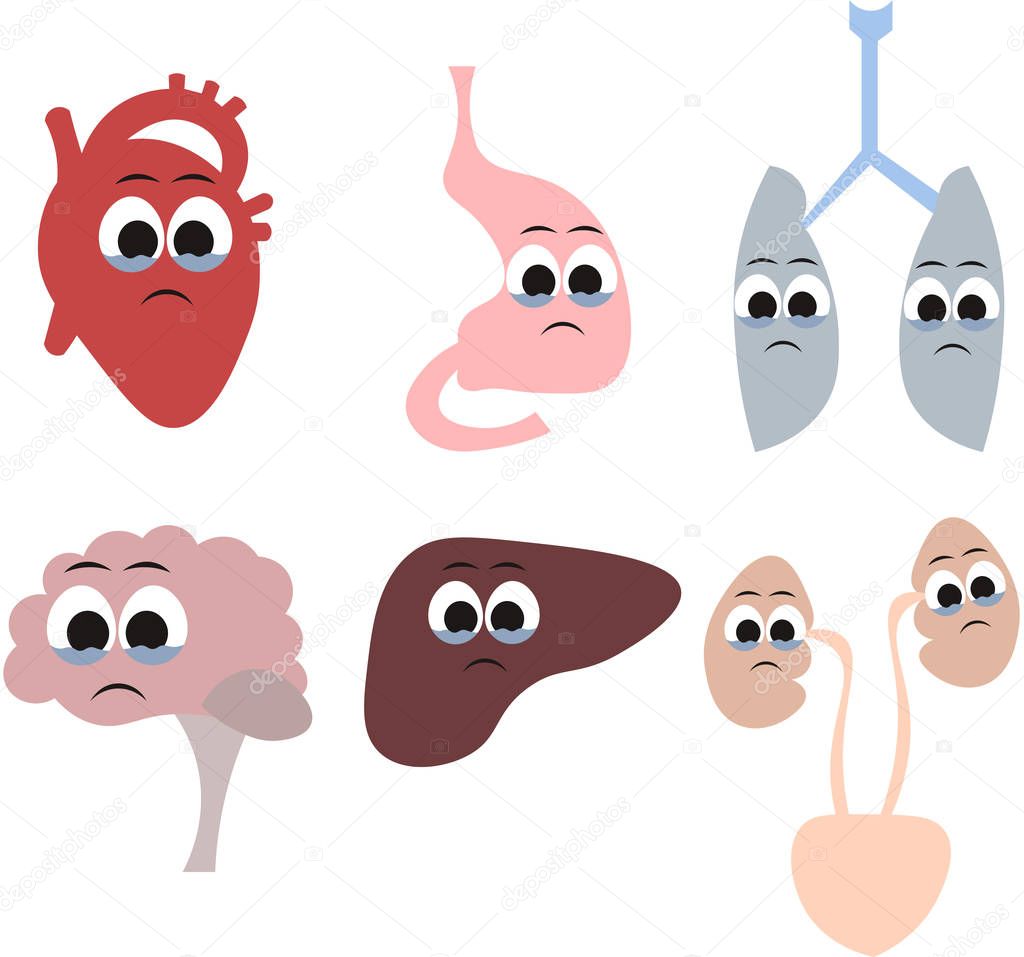 Organs of the human body in the style of cartoon. Heart, brain.