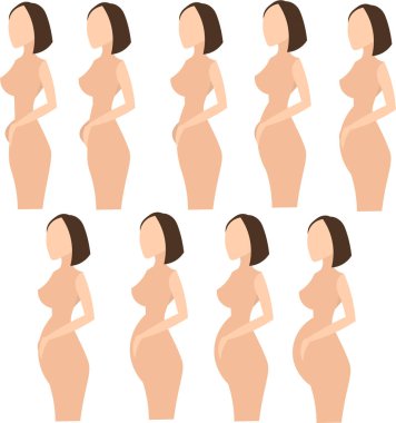 Geleceğin annesi. Kadınlarda hamilelik sırasında aylar boyunca değişiklikler.