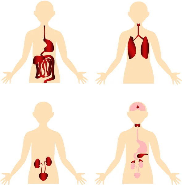 Doença. Esquema do corpo humano . — Fotografia de Stock