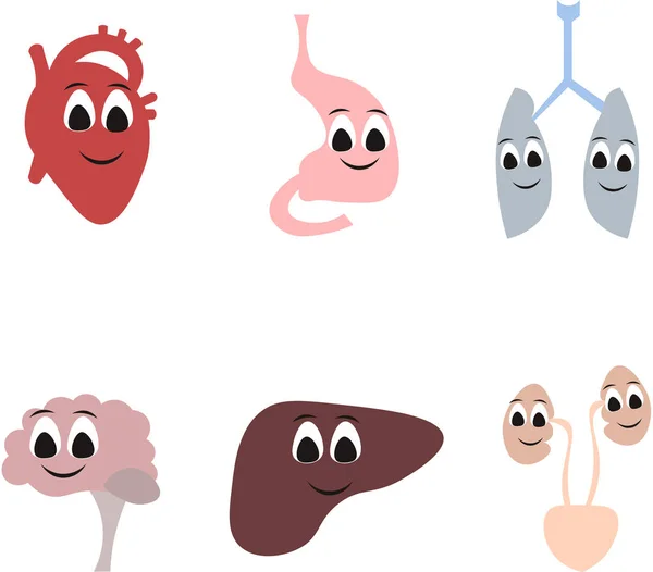 Orgány lidského těla ve stylu kresleného filmu. Srdce, mozek. — Stock fotografie