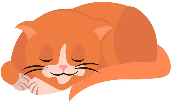 Il gatto rosso sta dormendo. Animale domestico. Carino animale . — Vettoriale Stock