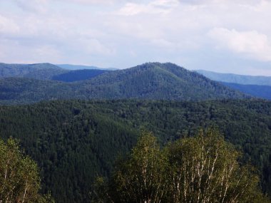 Vadisi. Tepeler ve ağaçlar uzakta. Sonsuz özgürlük.