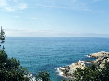 Deniz, kayalar ve ağaçlar. Yaz istirahati. Vahşi doğa.