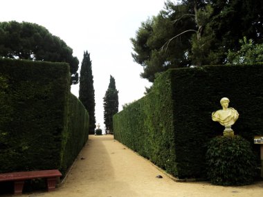 Heykel Parkı. Ağaçlar, çit. Yaz yürüyüşü.