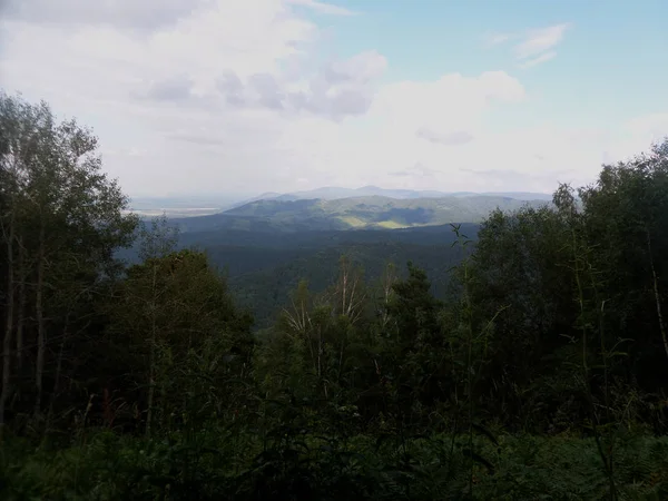 Forêt dense. Les collines au loin. Paysage nocturne . — Photo