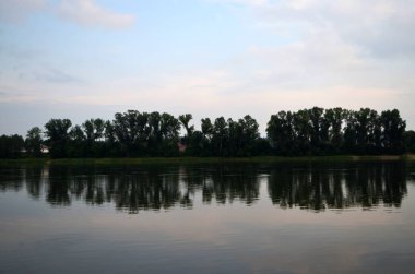 Orman ve nehir. Suda kozalaklı yansıması. Yaz ev