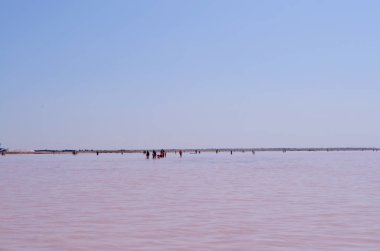 Pembe göl. İnsanlar sahilde rahatlar..