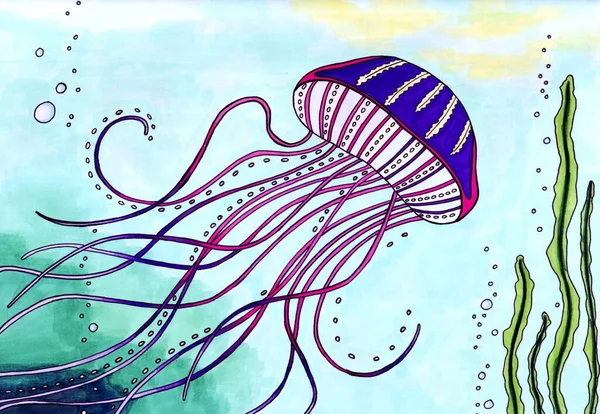 Medúzy z hlubokého moře — Stock fotografie