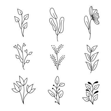 El ile çizilen Doodle çerçeveleri ve sınırları vektör kümesi. Handdrawn elemanları, çiçekler, dalları, süsler ve flourishes