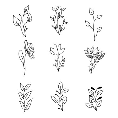 El ile çizilen Doodle çerçeveleri ve sınırları vektör kümesi. Handdrawn elemanları, çiçekler, dalları, süsler ve flourishes