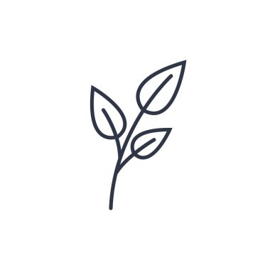 El ile çizilen Doodle çerçeveleri ve sınırları vektör kümesi. Handdrawn elemanları, çiçekler, dalları, süsler ve flourishes