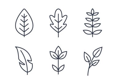 El ile çizilen Doodle çerçeveleri ve sınırları vektör kümesi. Handdrawn elemanları, çiçekler, dalları, süsler ve flourishes
