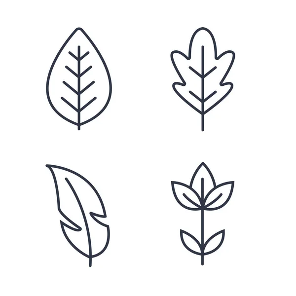 Векторный Набор Нарисованных Руки Штрихов Границ Ручные Элементы Цветы Ветви — стоковый вектор