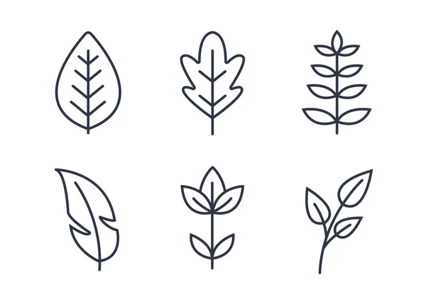 Vector Set Van Handdrawn Doodle Frames Randen Handdrawn Elementen Bloemen — Stockvector