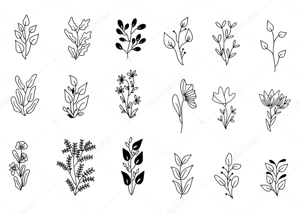 Vector set of handdrawn doodle frames and borders. Handdrawn elements, flowers, branches, swashes and flourishes