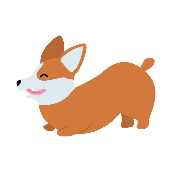 Cute Corgi Illustration Ilustrasi Vektor - Stok Vektor