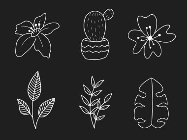 Vektör el çizilmiş doodle çiçek ve yaprakları kümesi. El çizilen unsurlar, çiçekler, yapraklar.