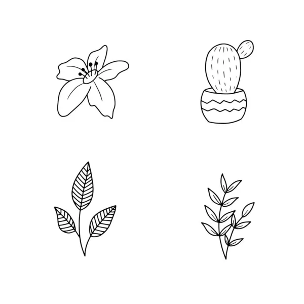 Conjunto Vectorial Flores Hojas Garabato Dibujadas Mano Elementos Hechos Mano — Vector de stock