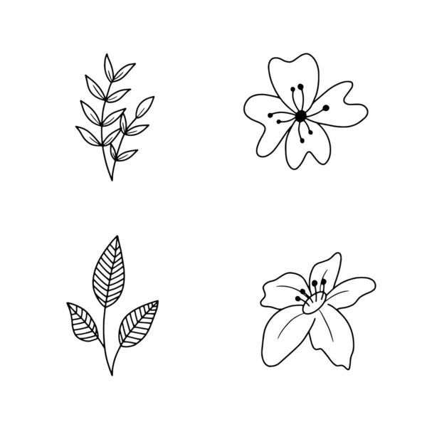 Ensemble Vectoriel Fleurs Feuilles Gribouillées Dessinées Main Eléments Dessinés Main — Image vectorielle