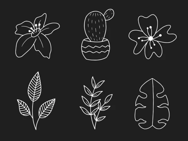Vektor Set Aus Handgezeichneten Doodle Blumen Und Blättern Handgezeichnete Elemente — Stockvektor