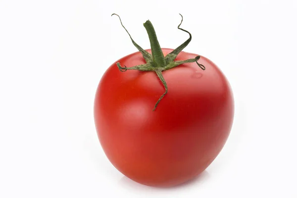 特写镜头的西红柿与它的分支 — 图库照片