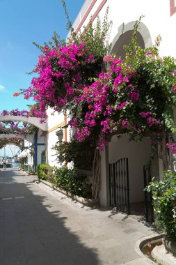 Beyaz evler ve renkli çiçekler, küçük balıkçı köyü ile Sokak. Gran Canaria, İspanya'daki Mogan limanının romantik mimarisi.