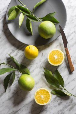 Gri mermer arka planda yabani portakallı tabak. Yukarıdan görüntüle.