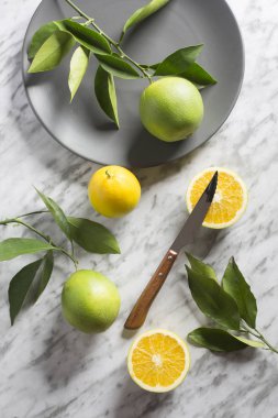 Gri mermer arka planda yabani portakallı tabak. Yukarıdan görüntüle.