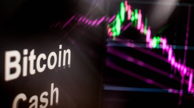 Bitcoin nakit cryptocurrency Token. Cryptocurrency borsalarının davranışı, kavram. Modern finansal teknolojiler.