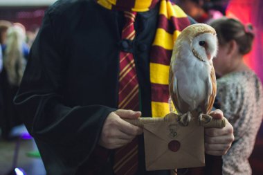 Saint Petersburg, Rusya - 27 Nisan 2019: Baykuş ve Hogwarts sihirli okuluna bir mektup.