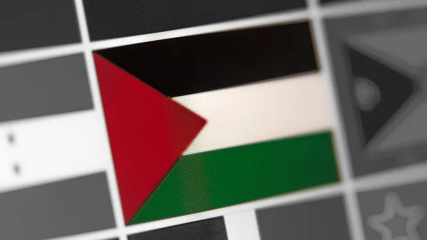 Bandera nacional del país del Estado de Palestina.Bandera del Estado de Palestina en la pantalla, un efecto de moire digital . —  Fotos de Stock