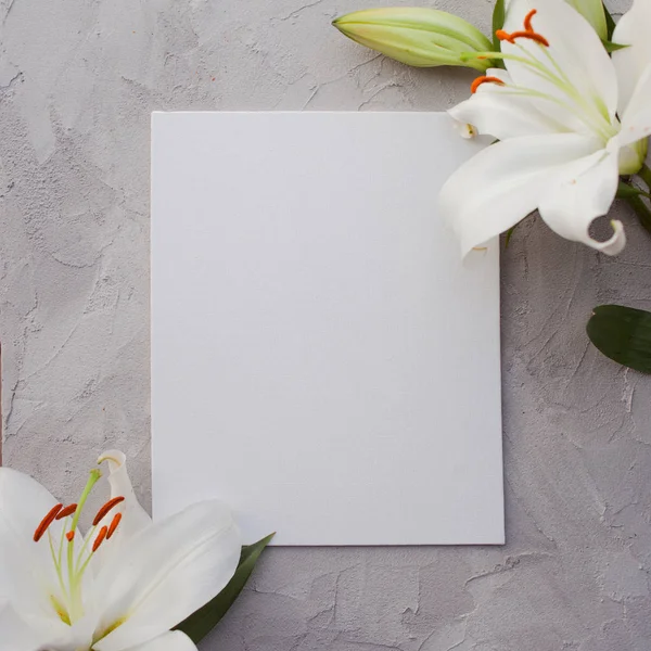 Çimento gri bir arka plan dokusu üzerinde beyaz zambaklar ile şık minimalist tasarım.