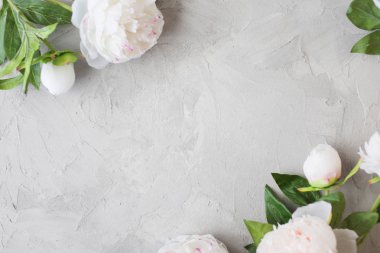 Çimento gri bir arka plan dokusu üzerinde beyaz şakayık ile şık minimalist tasarım.